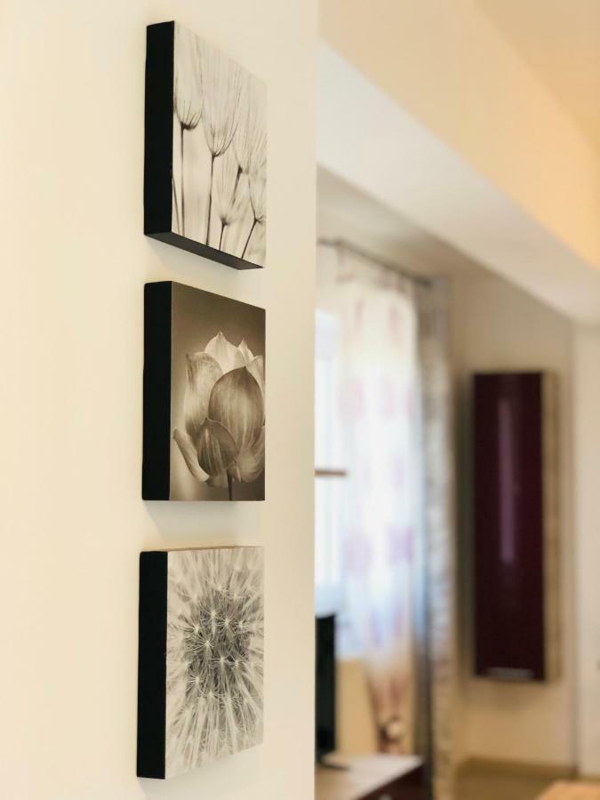 Eme Apartments 布拉索夫 外观 照片